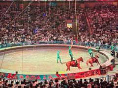 -俄罗斯国家大马戏团