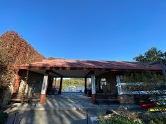 -大兴滨河森林公园