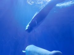 -多彩贵州城极地海洋世界