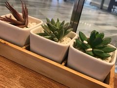 -必胜客(大悦城店)