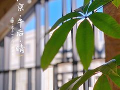 -VOYAGE COFFEE(杨梅竹店)