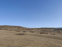 -塞罕坝国家级自然保护区