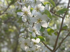 -黑龙江省森林植物园