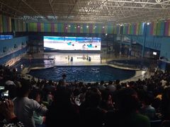 iphone_upload_pic-郑州海洋馆