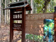 -中国科学院西双版纳热带植物园
