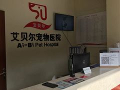-艾贝尔宠物医院 ·内科全科(梁溪路店)