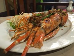 -Red Lobster
