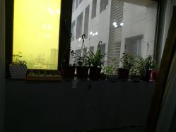 -HG美发设计沙龙