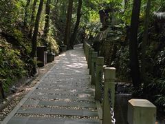 -十八棵（老龙井）御茶园(老龙井店)