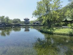 -无锡蠡湖国家湿地公园-蠡园