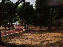 -鹤之洲湿地公园