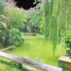 点击看大图 -莲生母婴月子中心(清水河公园店)