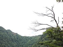 -瓦屋山景区