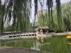 -团结湖公园