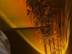 -宁采臣Sleep·采耳·SPA放松馆(湖里万达店)