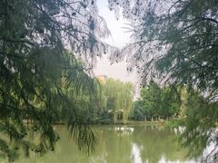 -滨湖塘西河公园