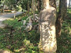 -莲峰云海景区