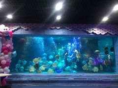 -梦幻海洋王国(吾悦广场张家港店)