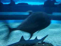 -常州海昌海洋探索馆