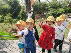 -加蒙特森林幼儿园(广州市增城区店)
