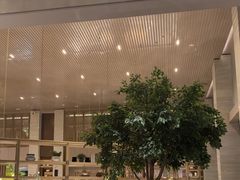 -博林天瑞喜来登酒店·西丽尚膳