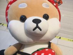 -PAWTOY爪e玩偶店(天兴罗斯福店)