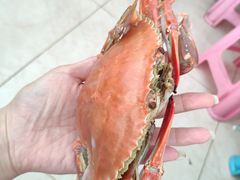 -四海鲜渔家菜(黄金海岸店)