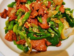 -椿记烧鹅(叠彩店)