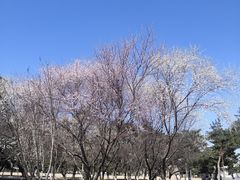 -东北大学(南湖校区)
