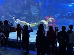 -顺德南宏海立方海洋公园