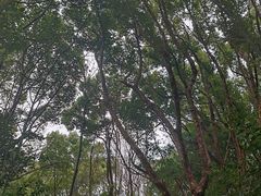 -赭山公园