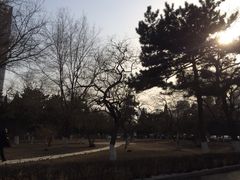 iphone_upload_pic-辽宁大学(崇山校区)