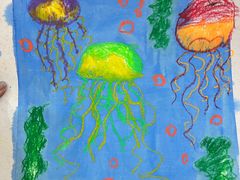 -缤纷鸟美术书法(建大校区)