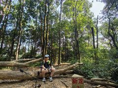 -黄埔油麻山森林公园