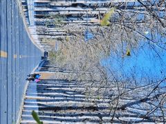 -百里山水画廊