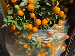 -吴祥记潮州菜·百年老字号·砂锅粥