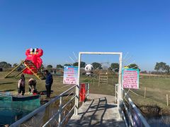 -上海都市菜园