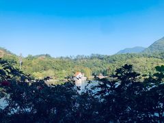 -深圳仙湖植物园-停车场
