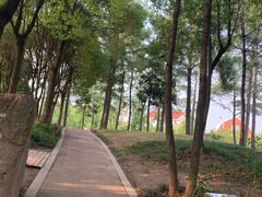 -美兰湖景区