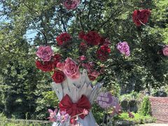 -梭布垭石林景区