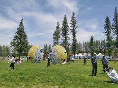 -黄海国家森林公园