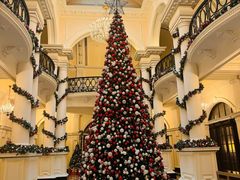 -羿庭(外滩华尔道夫酒店)