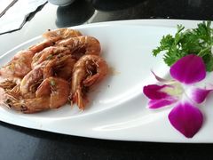 -云中小雅