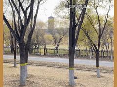 -永定河休闲森林公园