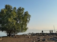 -深圳湾公园(南山区)
