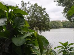-荔湾湖公园