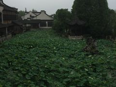 -乌镇望津里精品酒店