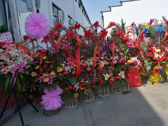 -嘿哟动霸CHUA·新潮玩运动娱乐中心·蹦床滑冰团建乐园