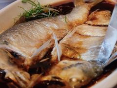红蒸鲜鲥鱼-名豪品鲜荟(云亭店)