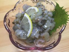 -桥岚·巷子鲜河豚鱼(专门店)